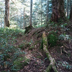 251010_p05.jpg