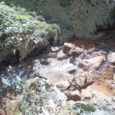 251010_p41.jpg