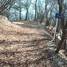 240417_p03.jpg