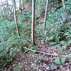 251010_p22.jpg