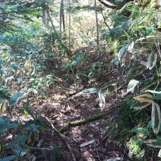 251010_p15.jpg