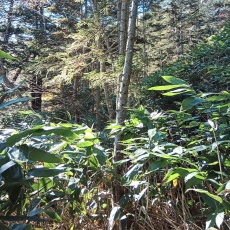 251010_p14.jpg
